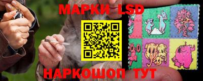 спиды Заводоуковск