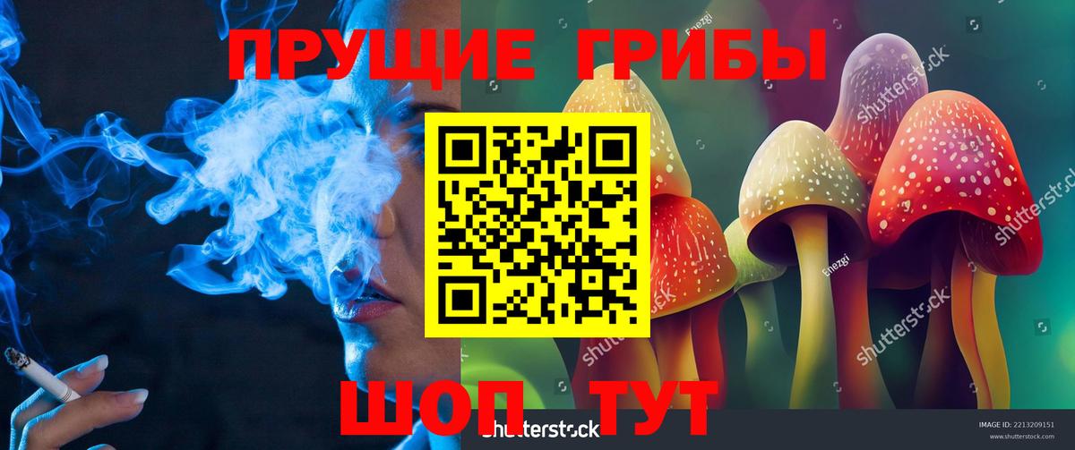 Псилоцибиновые грибы ЛСД  даркнет сайт  Псилоцибиновые грибы Magic Shrooms  Михайловка  Вход с VPN 